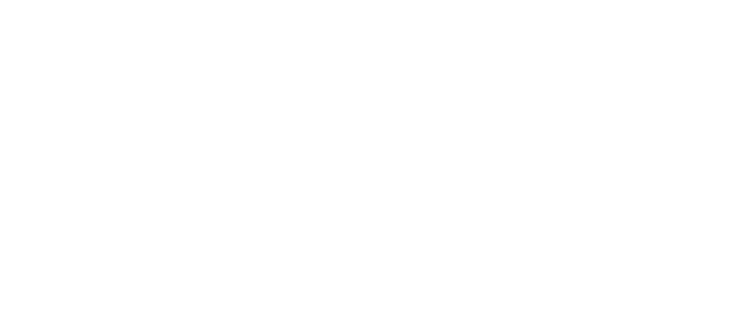 ViMORE Consulting